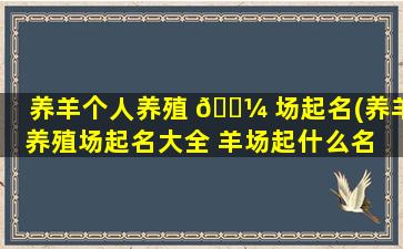 养羊个人养殖 🌼 场起名(养羊养殖场起名大全 羊场起什么名 🌳 字好)